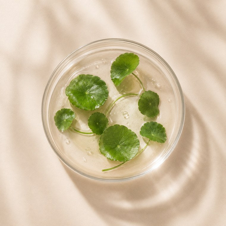 Centella Asiatica